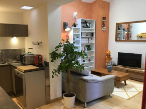 Avignon : Duplex près du palais des Papes